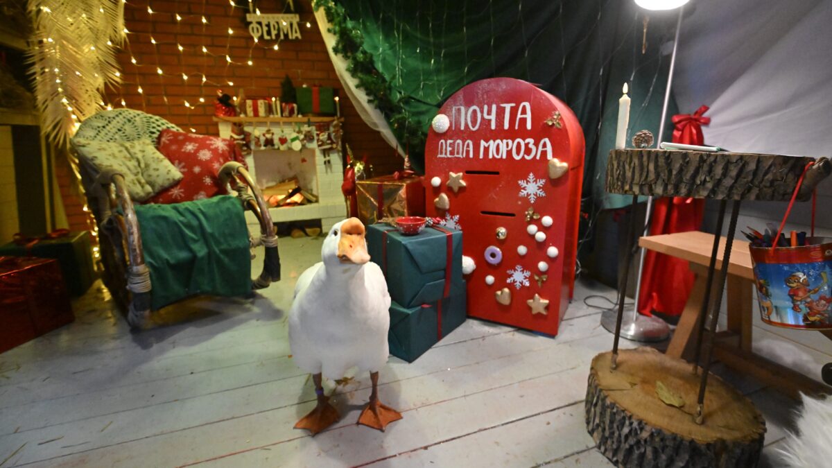 Письмо Деду Морозу: что писать, зачем это делать?