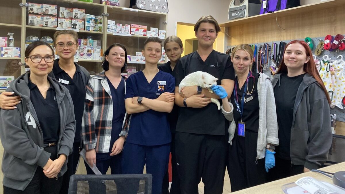 Милые истории о доброте, любви и дружбе из жизни: топ-20