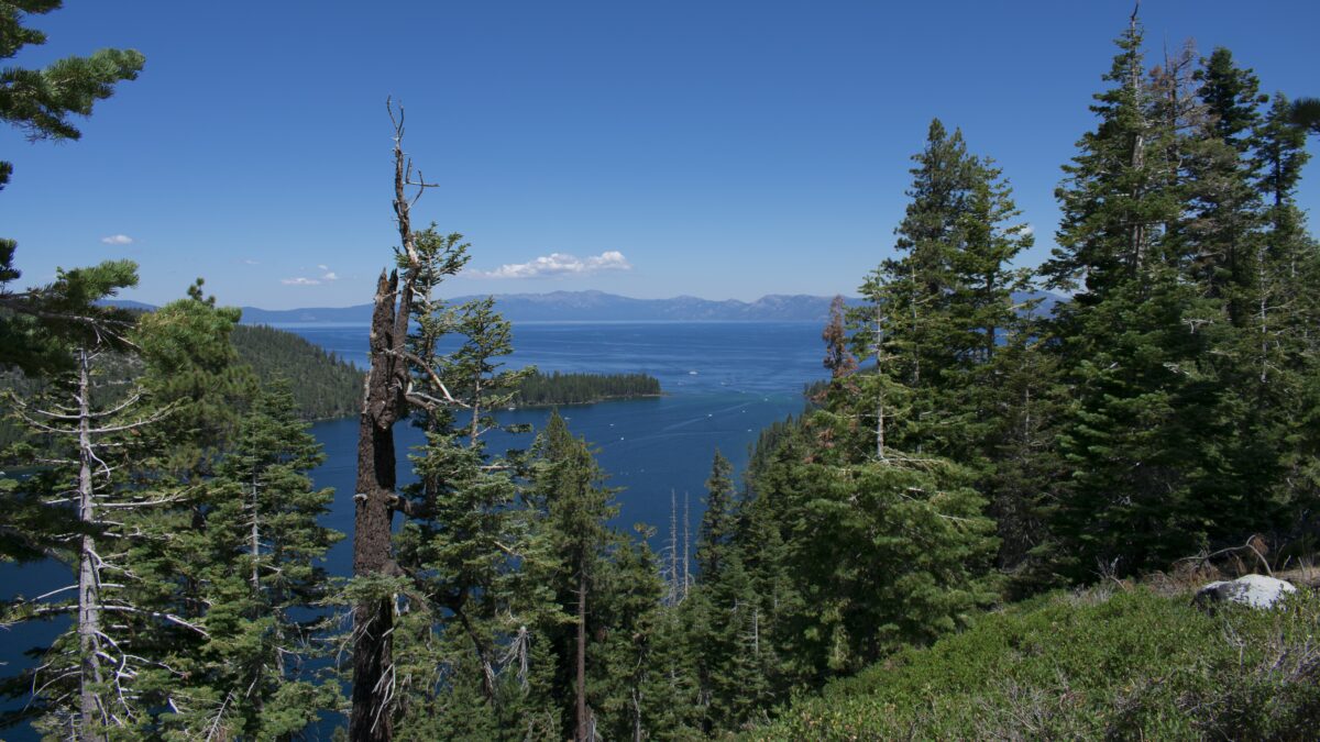 На Байкале разрешили рубить лес: почему некоторые депутаты и экологи против?