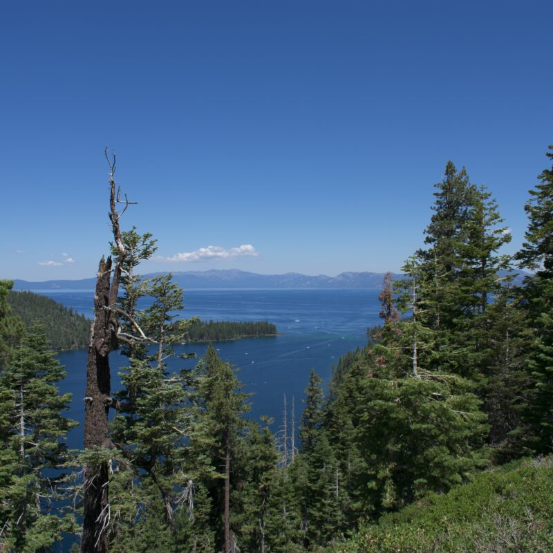 На Байкале разрешили рубить лес: почему некоторые депутаты и экологи против?