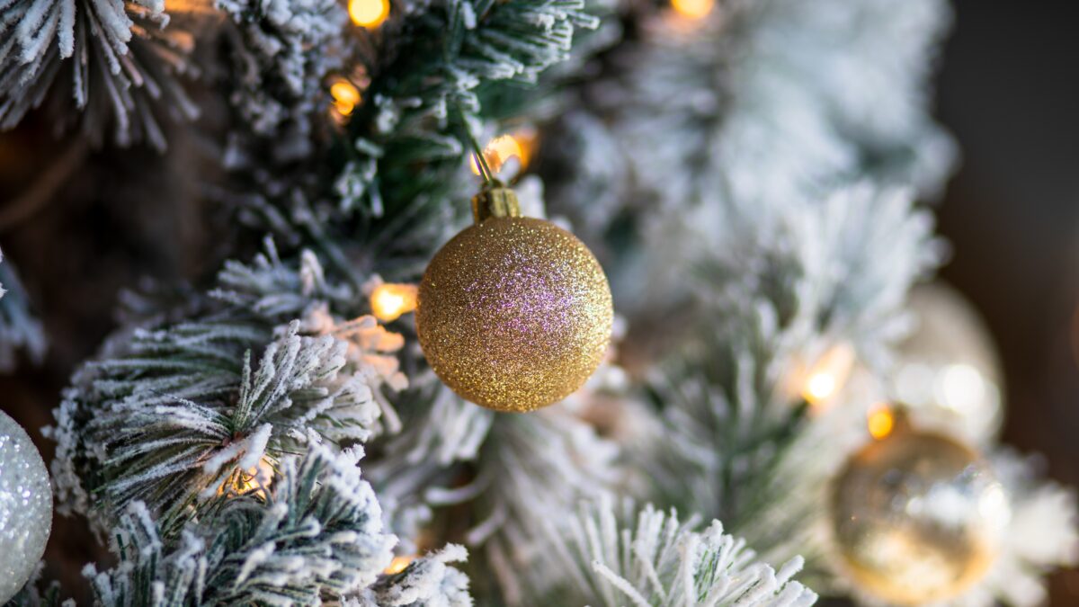 Как выбрать ёлку на Новый год? Живую и искусственную? На что обратить внимание?