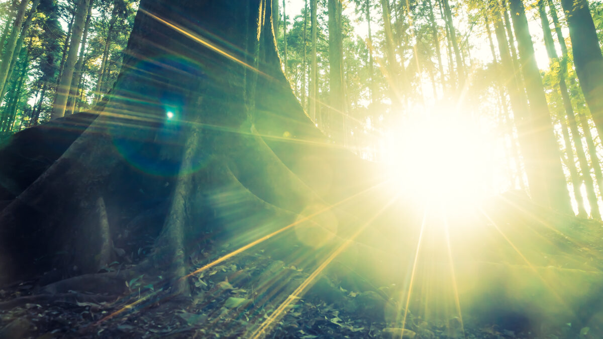 Зима началась со вспышек на Солнце: будут магнитные бури?