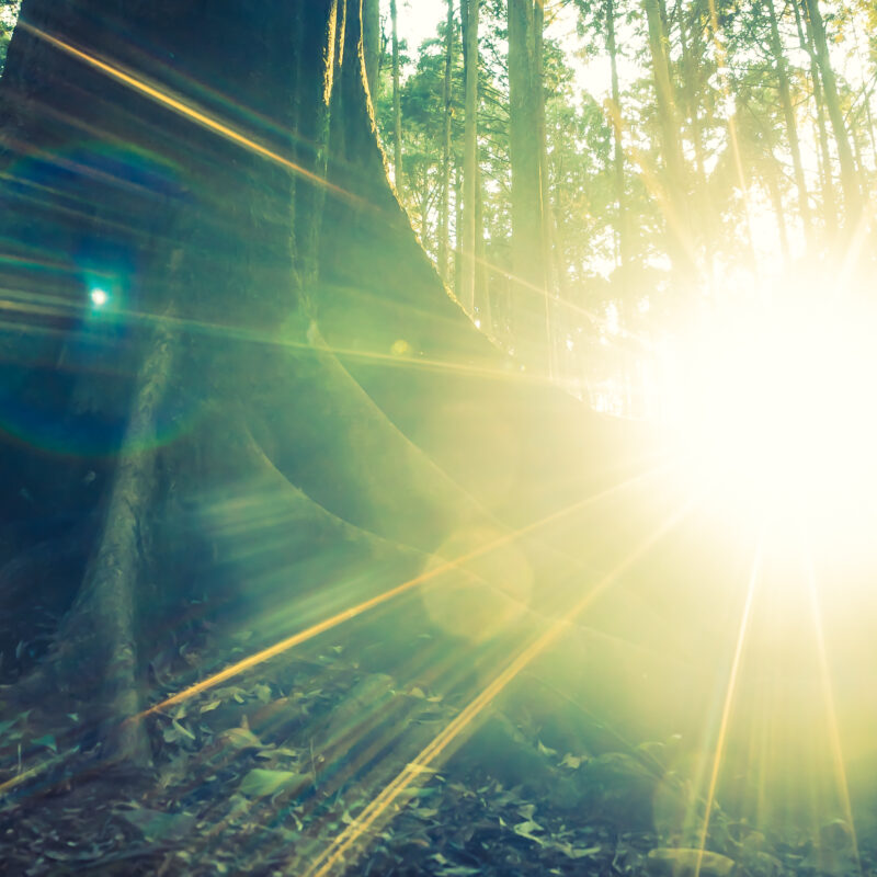 Зима началась со вспышек на Солнце: будут магнитные бури?