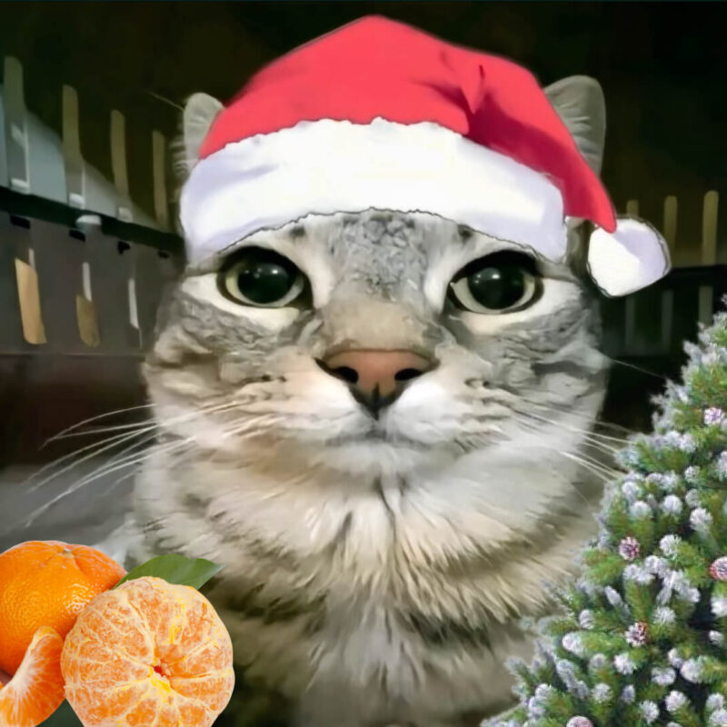 Праздник не приходит: топ-5 советов, как создать новогодний вайб