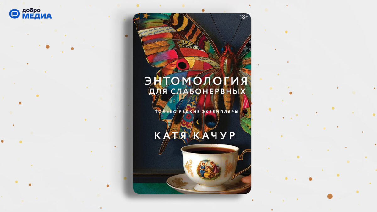 «Энтомология для слабонервных», Катя Качур
