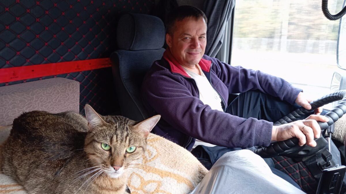 «Закалённый путешественник»: волонтёры спасли кота, который уехал на поезде из Москвы в Якутию