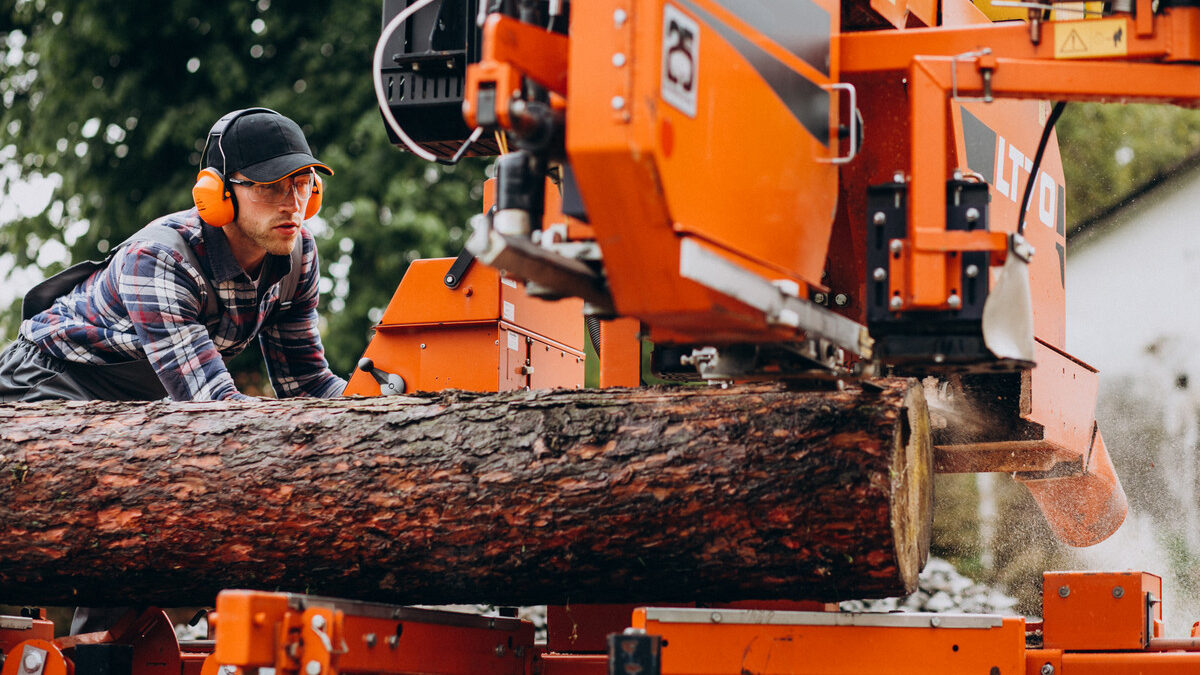 Закон «о сплошных рубках»: на Байкале будут уничтожать лес