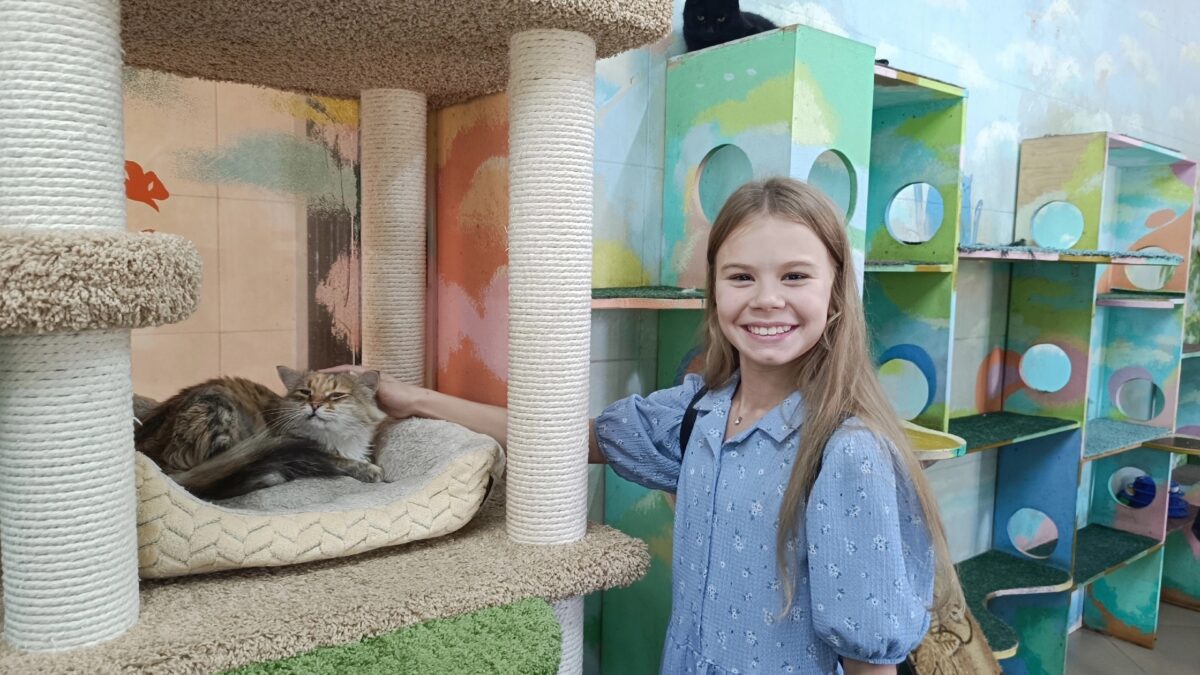 Мой маленький мир доброты