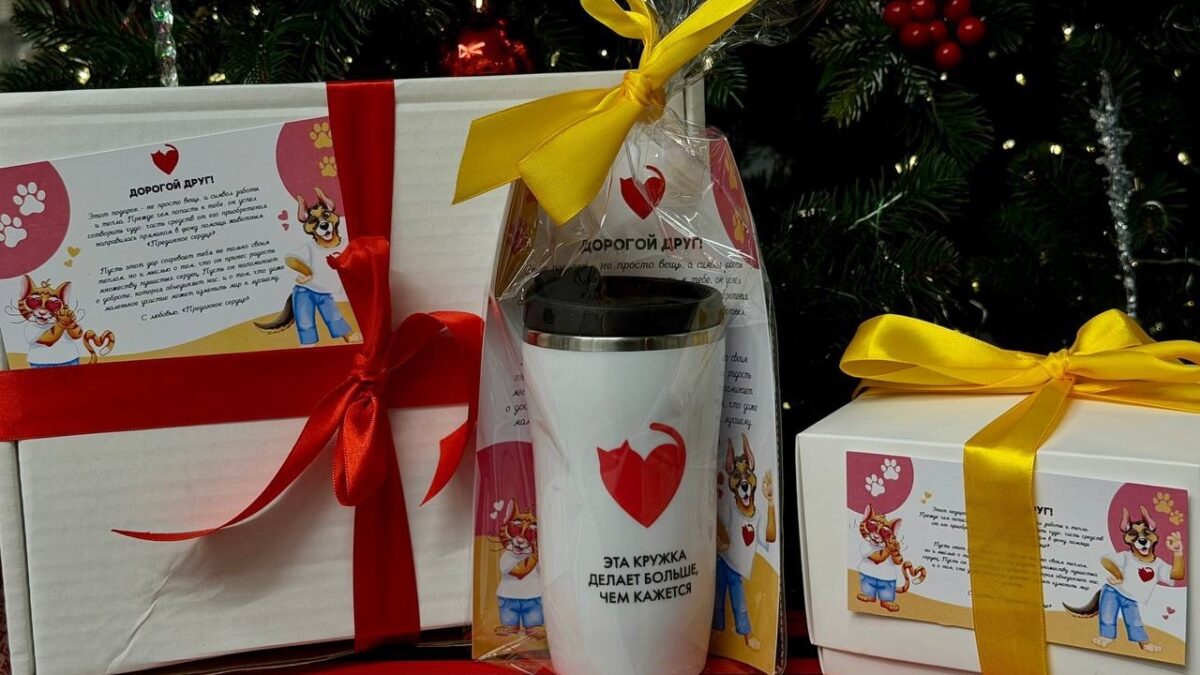 МЕРЧ С СЕРДЦЕМ: «Преданное сердце» и WYNGIFTS объединили усилия ради пушистых друзей!