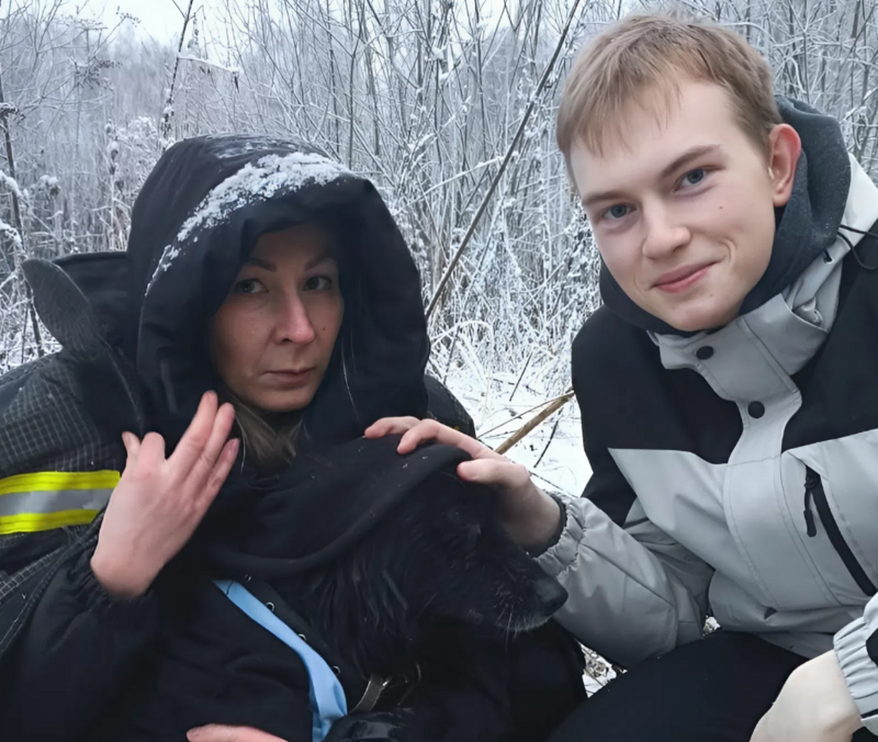 Спасли собаку, провалившуюся под лёд, два брата в Бежецке