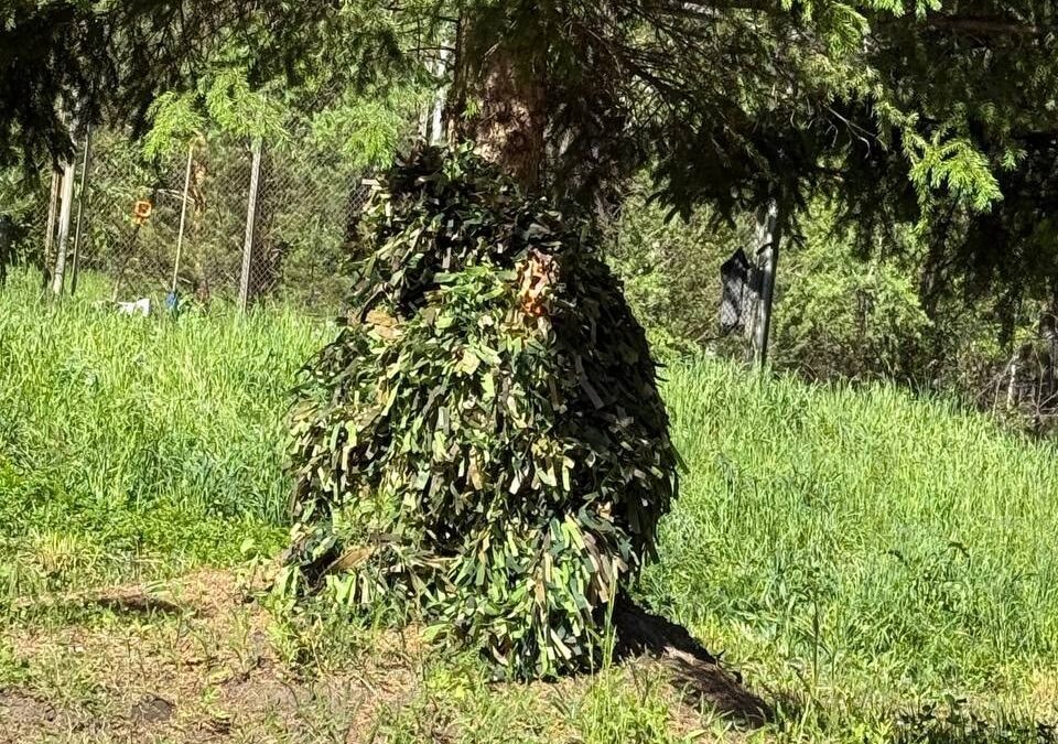 По зову души: как волонтёры помогают бойцам СВО