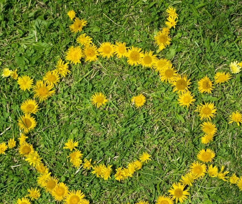 Всемирный день оптимизма-2025: история, традиции и интересные факты