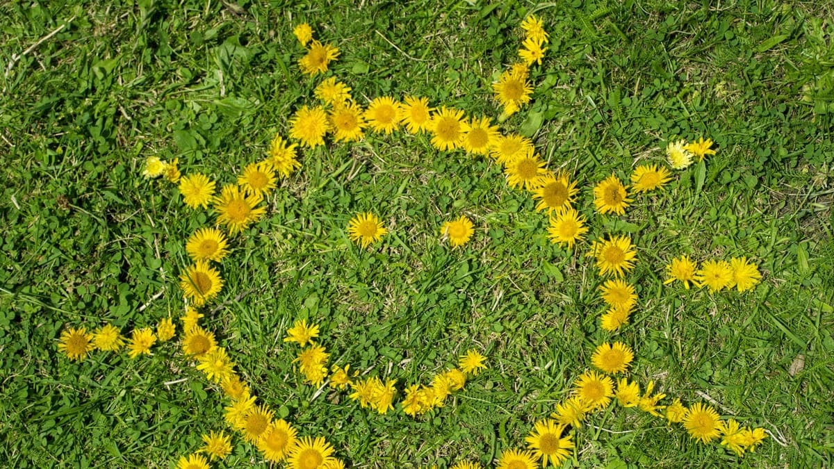 Всемирный день оптимизма-2025: история, традиции и интересные факты