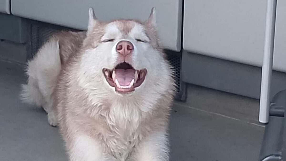 Милые истории о доброте, любви и дружбе из жизни: топ-20