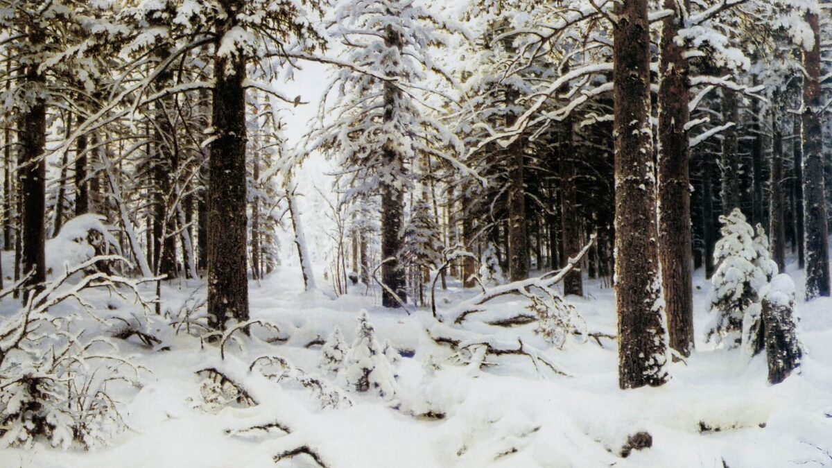 Морозная сказка и хрустящие сугробы: зимние картины, которые вернут вас в детство