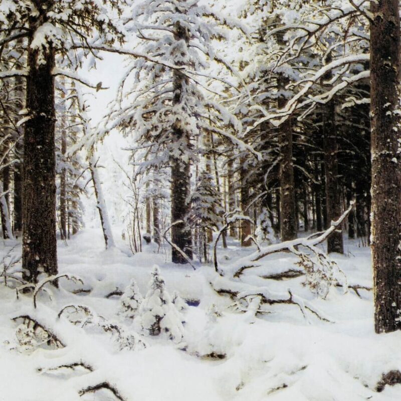 Морозная сказка и хрустящие сугробы: зимние картины, которые вернут вас в детство