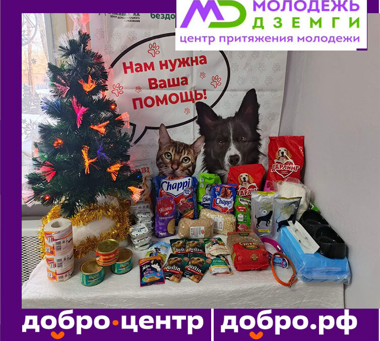 Акция «Новогодняя миска добра!»