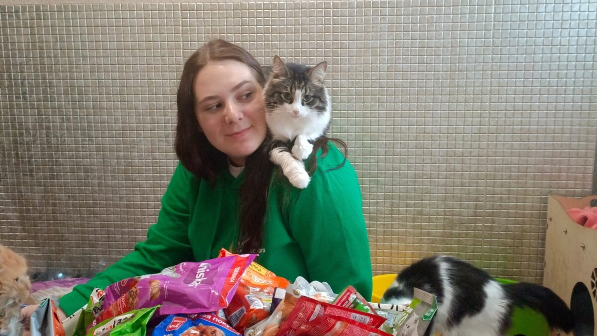 Предновогодние чудеса в Вологодском округе