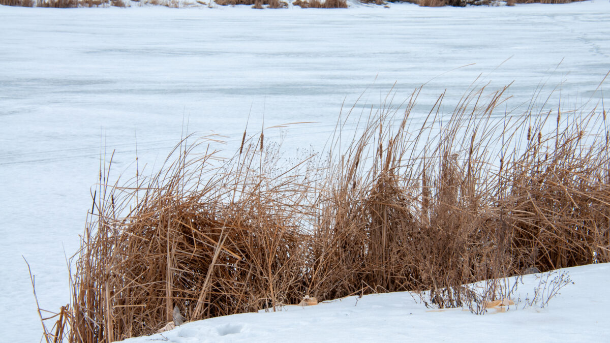 «Неправильно мальчик спасал друга»: трое детей чуть не утонули на озере, но их вытащили