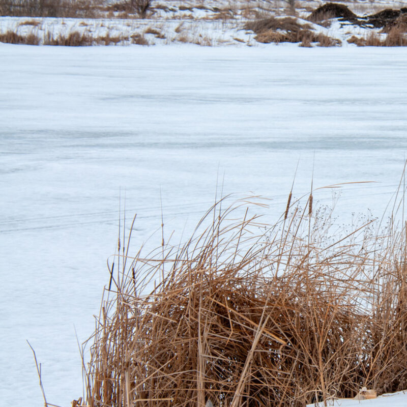 Спас тонущего: на озере в Махачкале предотвратили три смерти