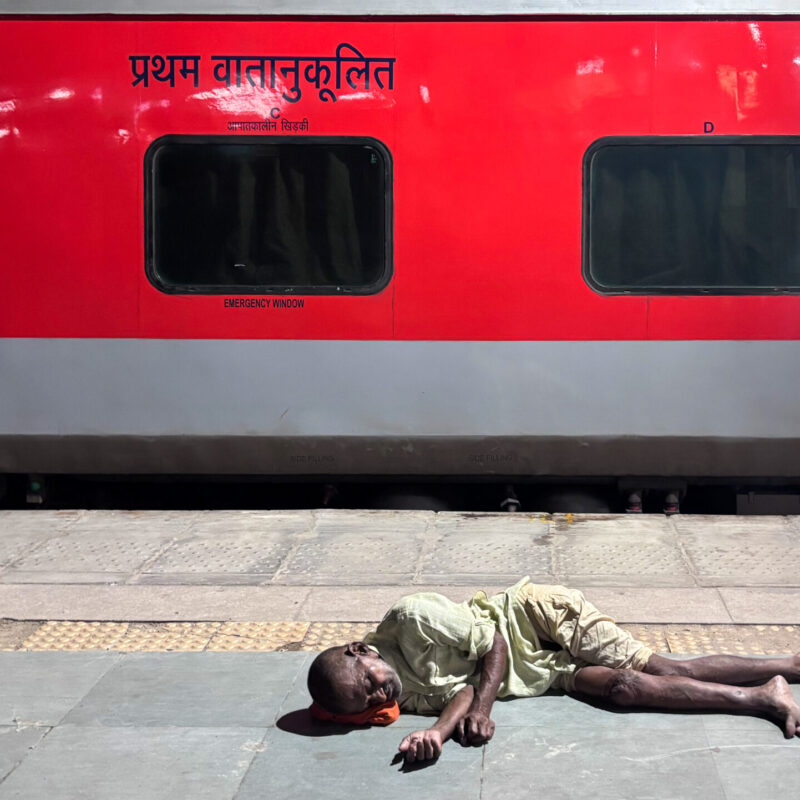 Смертоносный вирус Нипах – новый ковид? Откуда он взялся и что грозит россиянам