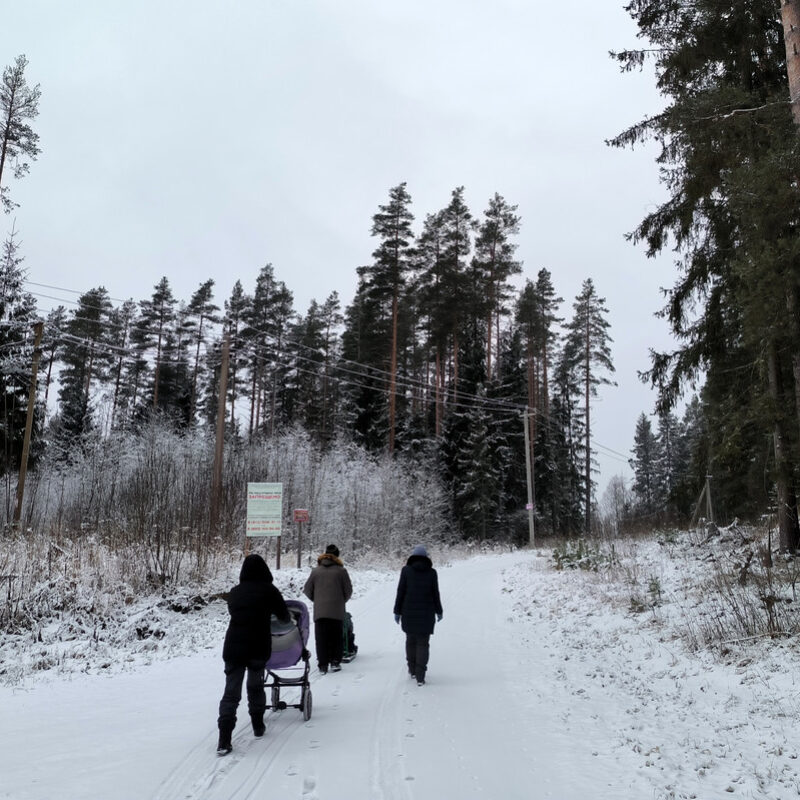 Заповедникам грозит уничтожение из-за нового законопроекта