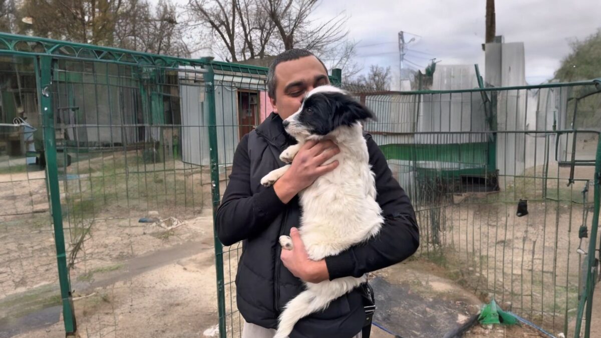 Водитель спас собаку с трассы и стал известен на весь мир