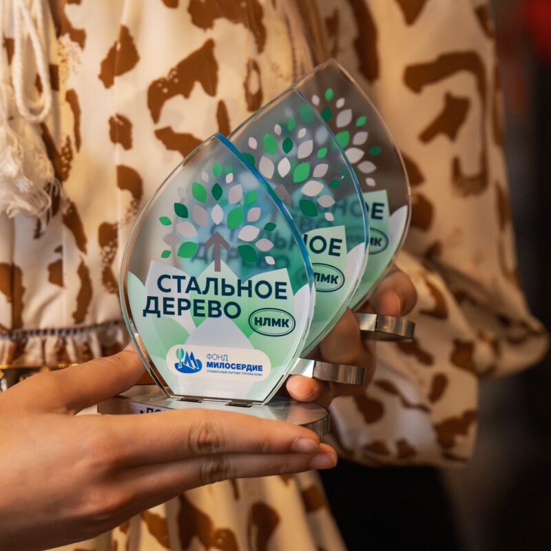 НКО из четырёх регионов могут принять участие в грантовом конкурсе «Стальное дерево»