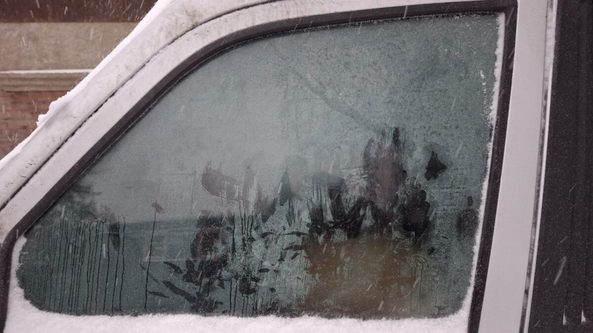 «В кабине не было даже воды»: водитель больше недели держит собаку в холодной машине