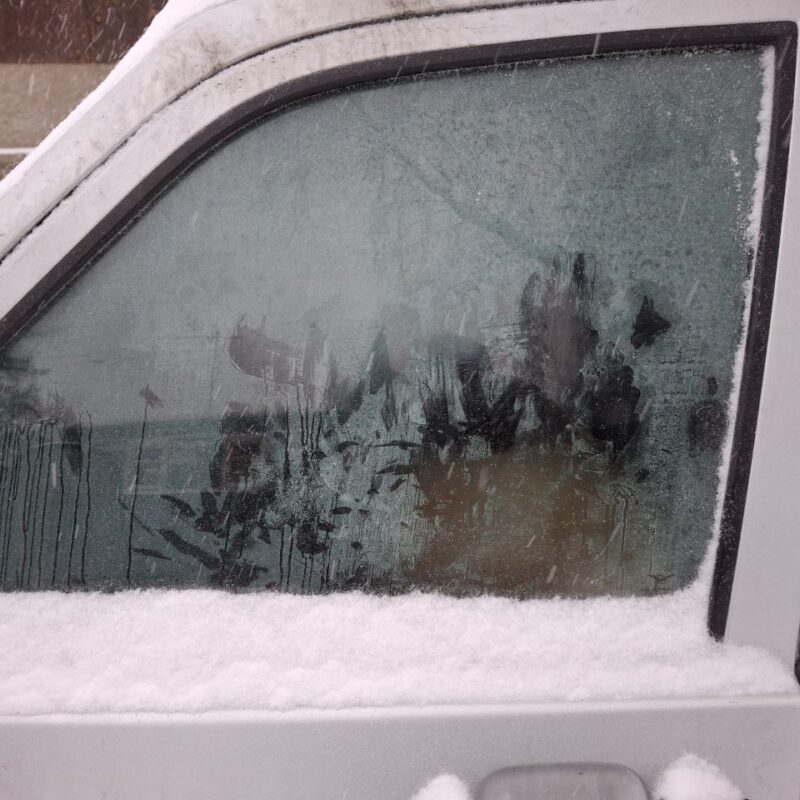 Спасают собаку, запертую в машине, жители Подмосковья