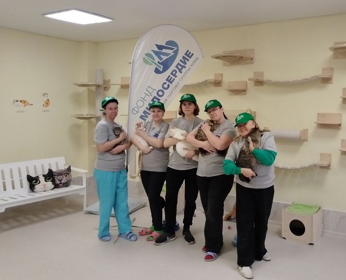 Фонд «Милосердие» помог привести в порядок приют для бездомных животных