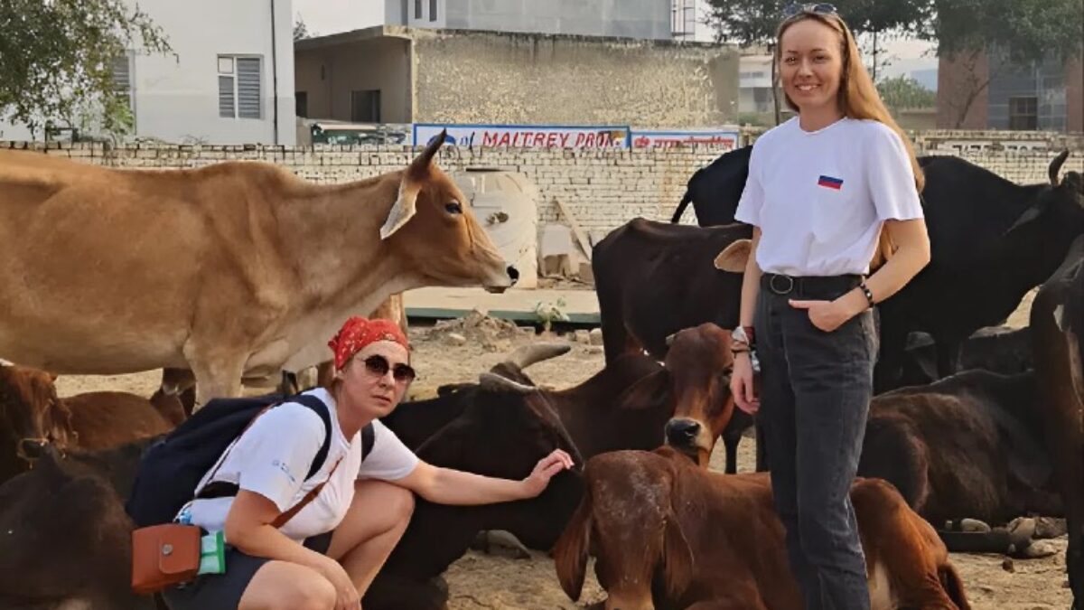 Российские специалисты могут войти в Международный добровольческий резерв, чтобы помогать за рубежом