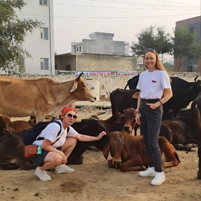 Международный резерв добровольцев принимает заявки