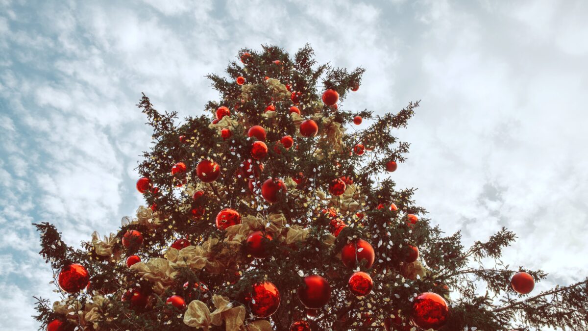 Вторая жизнь после праздника: куда сдать ёлку на переработку?