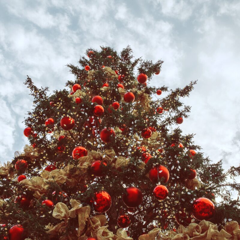 Вторая жизнь после праздника: куда сдать ёлку на переработку?