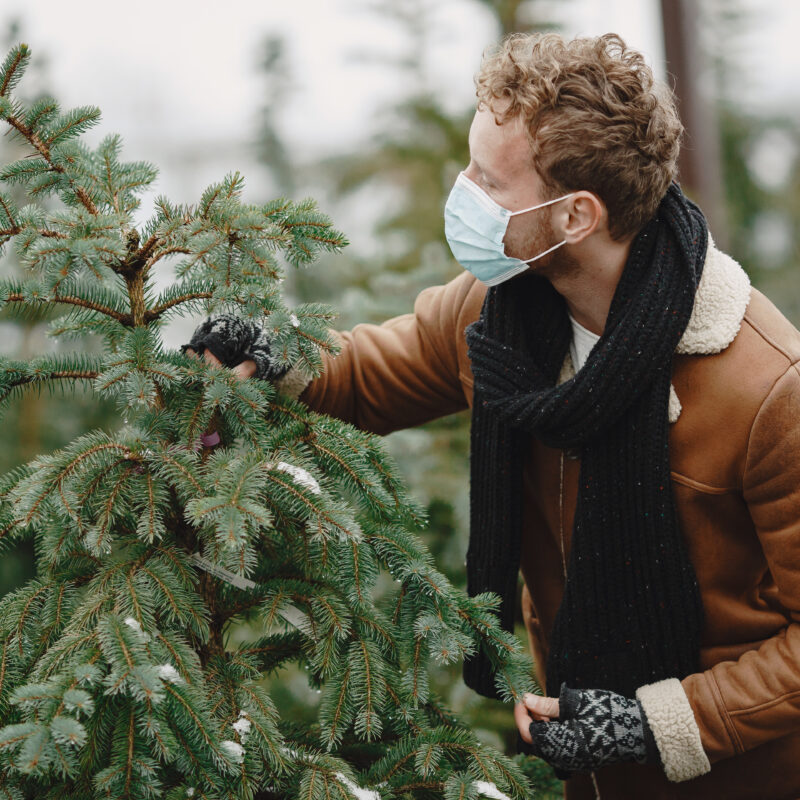 Плесень вместо радости: почему опасно долго не убирать ёлку после праздников