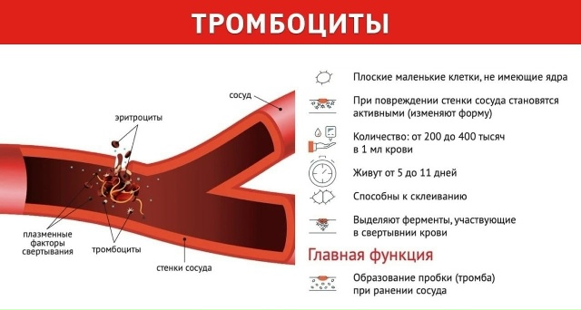 Донорство тромбоцитов