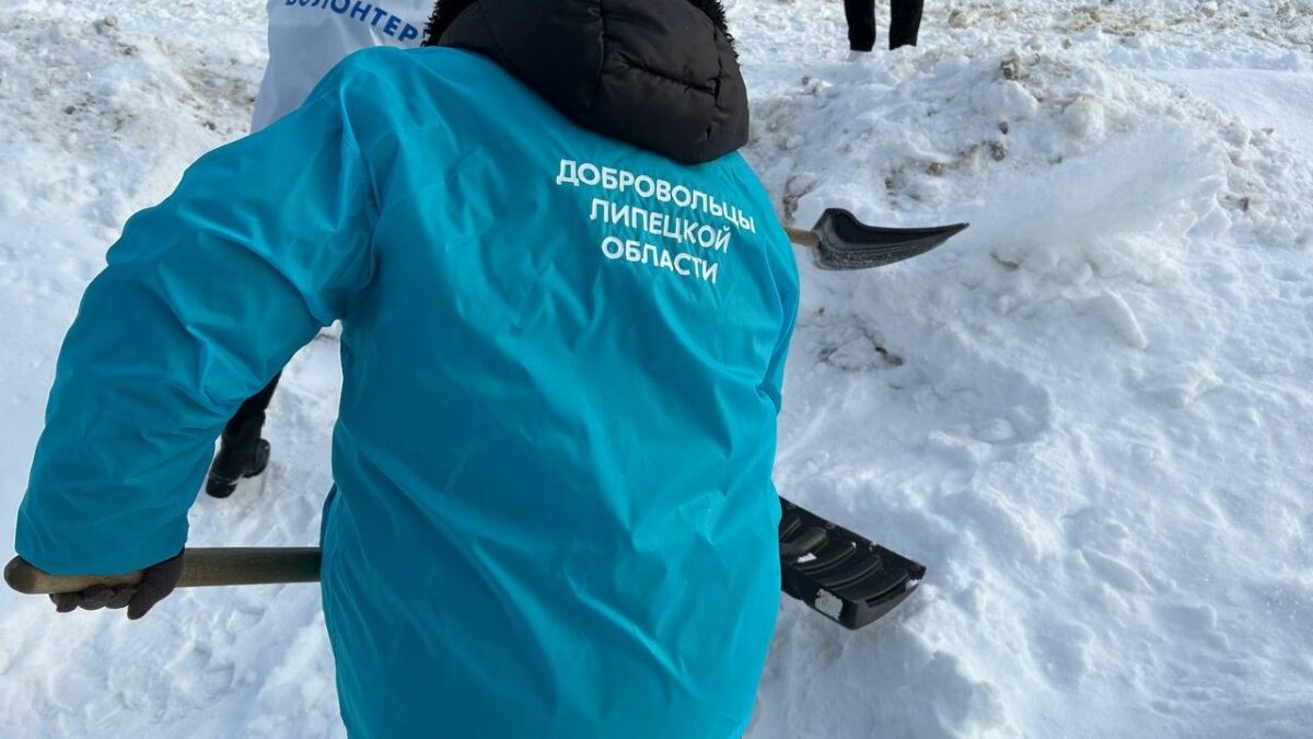 СНЕЖНЫЙ ДЕСАНТ