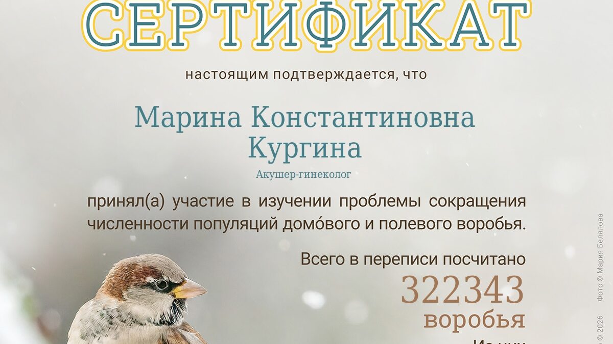 Подведены итоги Всероссийской переписи воробьёв «Воробьи на кустах» 2026.