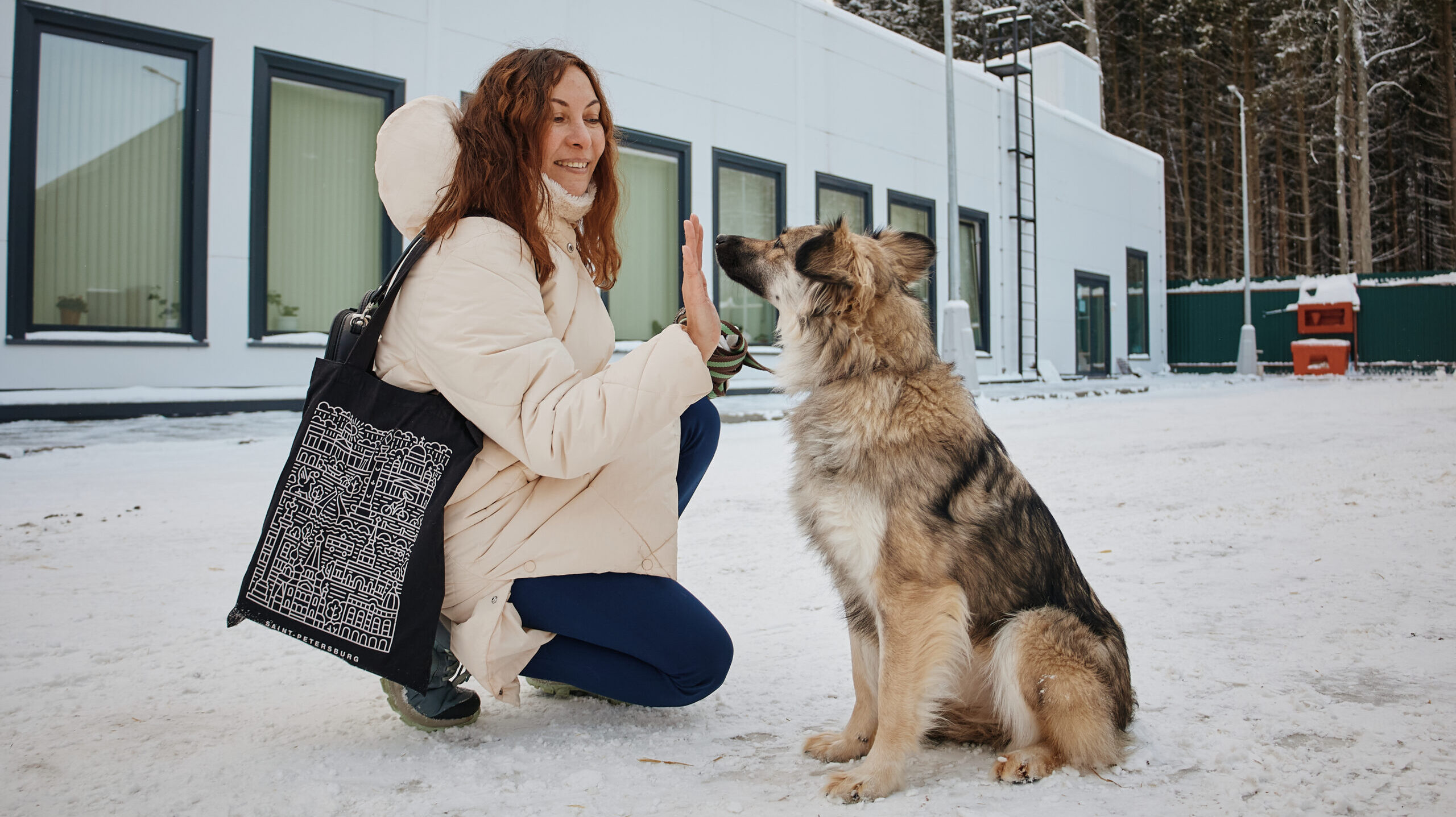 Проверку проведут благотворительные фонды: Авито будет верифицировать приюты и зооволонтёров