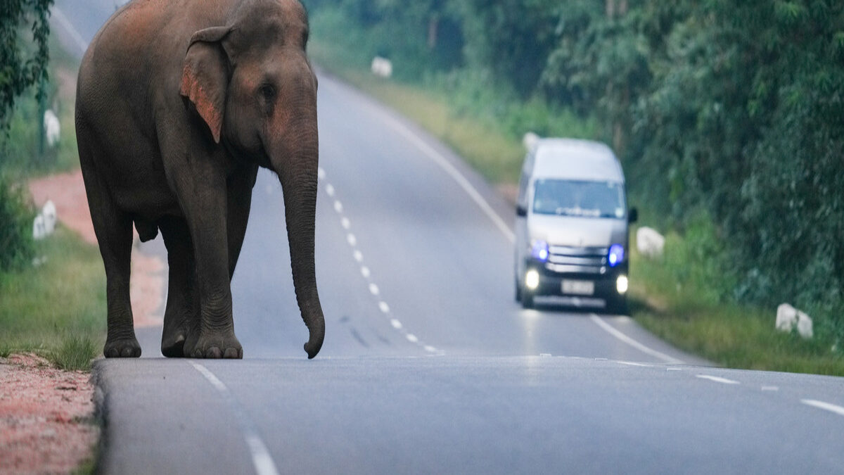 Куда поехать весной в отпуск – топ-10 мест с визой и без