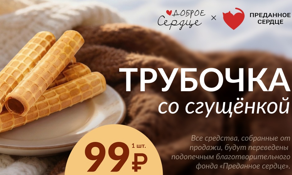 BAHROMA запустил благотворительную акцию «Доброе сердце» в помощь бездомным животным