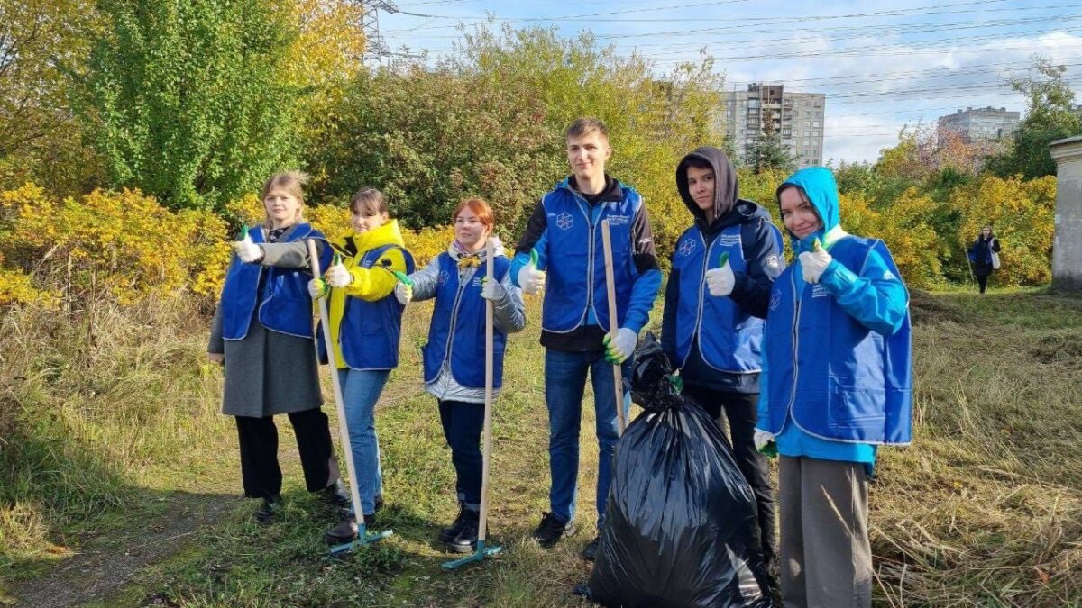 Техника безопасности при санитарной уборке вольеров и боксов