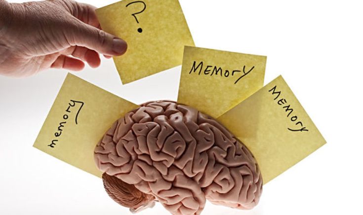 Тест: страдает ли ваша память «цифровой амнезией»?