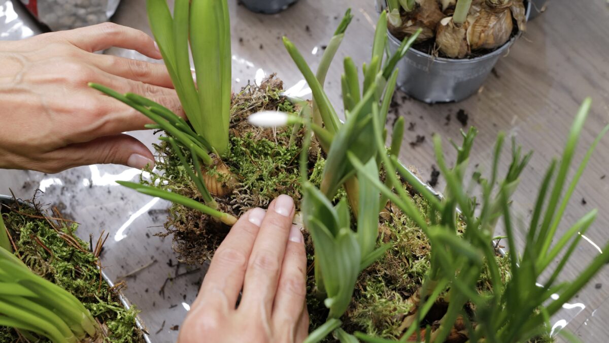 В арт-пространстве BLAR прошел благотворительный мастер-класс по флористике в пользу фонда ОРБИ