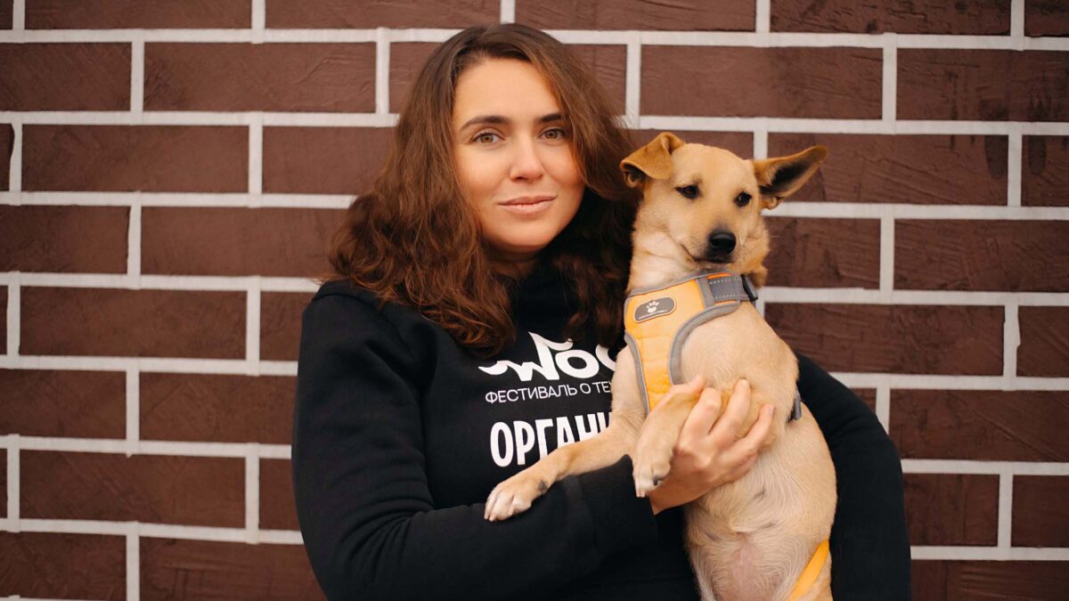 Бездомных собак будут отлавливать по звонку: что не так?