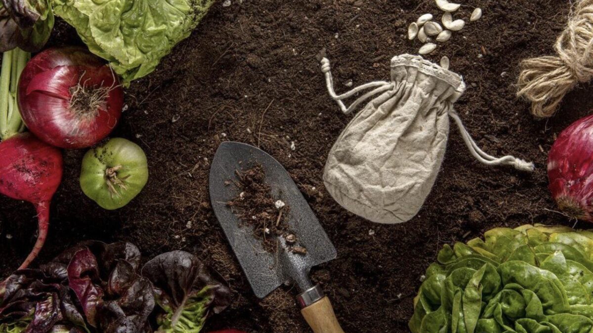 Лунный посевной календарь 2026 для садоводов и огородников: что и когда сажать на даче