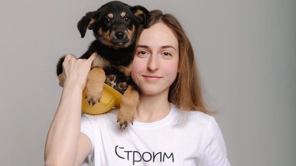 Цена бездействия: пока людям жалко стерилизовать животных, бездомные собаки погибают