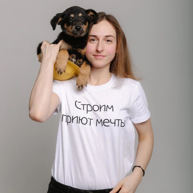 Цена бездействия: пока людям жалко стерилизовать животных, бездомные собаки погибают