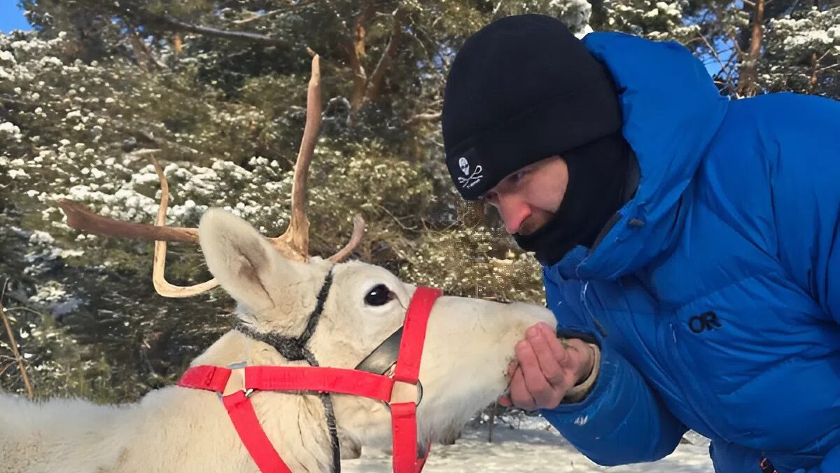 Бегают по лесу и едят ягель: основатель центра спасения животных подарил дом двум северным оленям